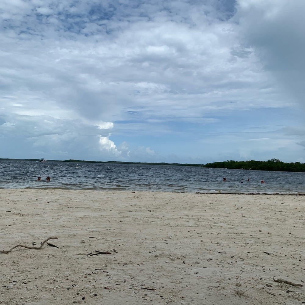 Louboutins iPhone Case  12 Max